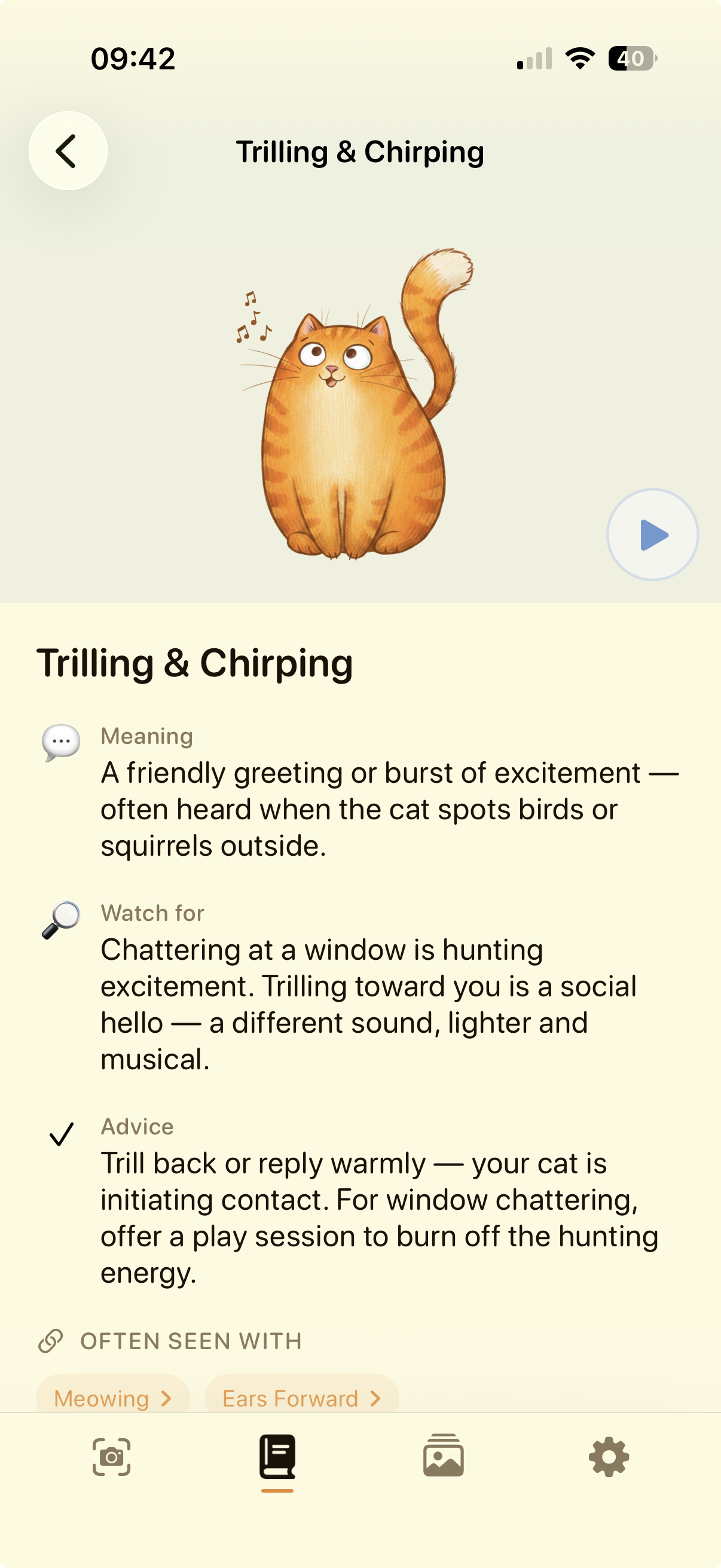 Catslator Catapedia — Trilling & Chirping detail
